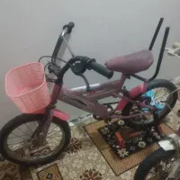 دو عدد دوچرخه