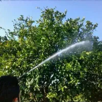 خدمات باغبانی،گلکاری،شخم زنی،هرسکاری در نقاط تهران