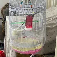 قفس پرنده