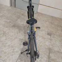 دوچرخه فلش کوهستان