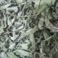 پونه درجه یک شیشه یک کیلویی ۲۰۰تومان