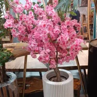 درختچه مصنوعی با تنه طبیعی