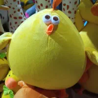 جوجه تپل