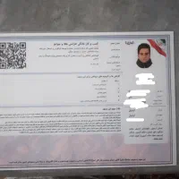 پروانه کسب مخصوص دسته چک و ضامن شدن
