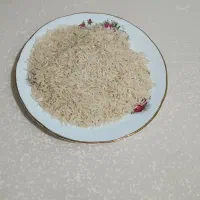 برنج فجر سوزنی