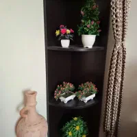 استندگل وگل