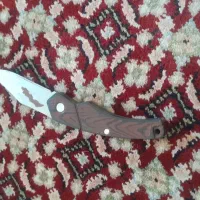زنجان|کوهنوردی و کمپینگ|کوه چنار, |دیوار