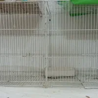 قفس پرنده