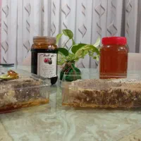 عسل طبیعی رب انار طبیعی هورامان