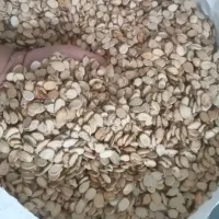 بذر هندوانه محبوبی