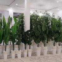 گل های زیبا را ب قیمت عمده بخرید