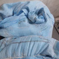 دوکیسه ارد موجود طبرسی شمالی