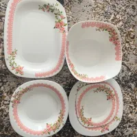 سرویس ارکوپال ۲۴نفره