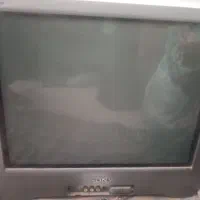 تلویزیون