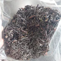 چای قلم لاهیجان