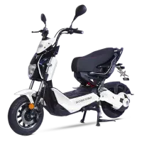 موتور برقی جیران ۳۰۹ مدل ۱۴۰۲