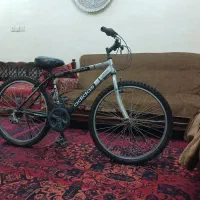 دوچرخه