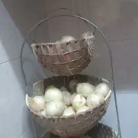 جا سیب زمینی پیاز