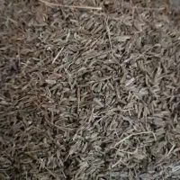 زیره کوهی کوه درگز هزار مسجد اصل اعلا