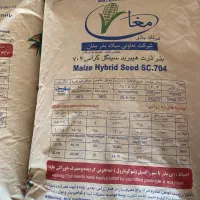 بذر ذرت|عمدهفروشی|میاندوآب, |دیوار