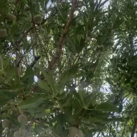 آب و زمین.احمدآبادچهل گزی.بعداز تنگ چنار