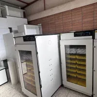 انواع دستگاه جوجه کشی در سایز های مختلف
