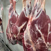 استخدام قصاب ماهر با حقوق عالی