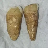 مهره کهنه