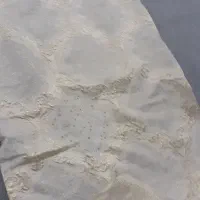 بغل پرده