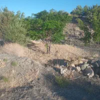زمین فروشی در روستای مزار کاهی