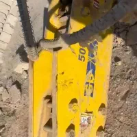 پیگور سوسان ۵۰
