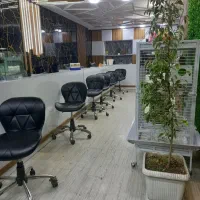 مغازه 25 متری بر مجید پیغمبری
