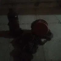 جرثقیل،۲تن،وجک،