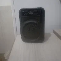 فلش و اسپیکر
