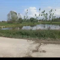 5000 متر زمین بهر جاده  طالقان ، خزایی
