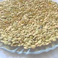 عدس|خوردنی و آشامیدنی|زنجان, |دیوار
