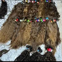 خرید موی  شما با بالاترین قیمت