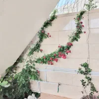 ویلایی نوساز