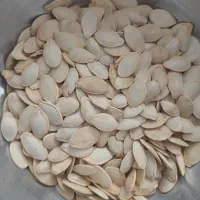 تخم کدو آجیلی