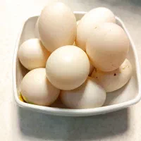تخم مرغابی محلی خوراکی درمانی