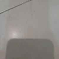 استا کار گچکار و شاگرد گچکار