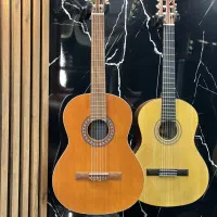 گیتار PARSI P40