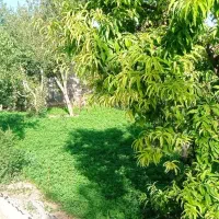 معرف-زمین-11980متر-برای-باغ-و-گلخانه