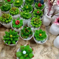 گلهای مینی رنگارنگ دکوری