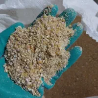 دان مرغ بوقلمون و بلدرچین
