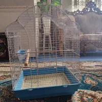 قفس پرنده