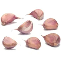نیرو کار حبه کردن سیر