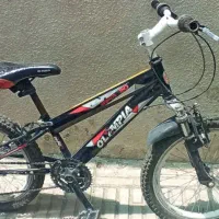 دوچرخه 20