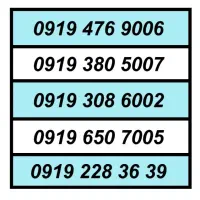0919650.7005.