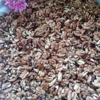 گردو تویسرکان